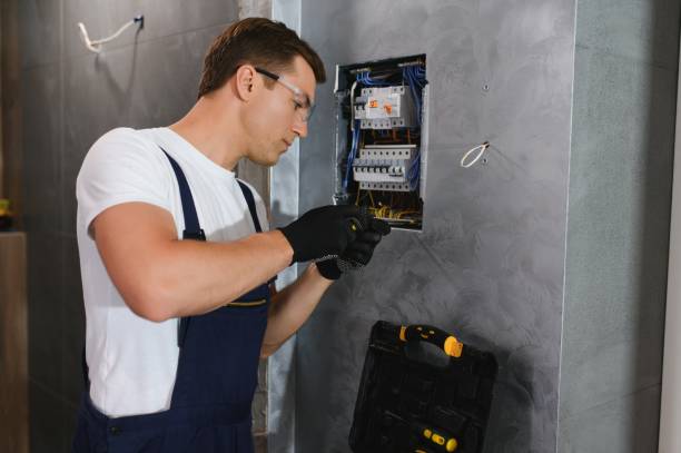 Best Electric Panel Repair  in South Pasadena, FL
