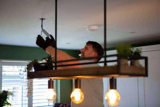 Best Residential Electrician Services  in South Pasadena, FL
